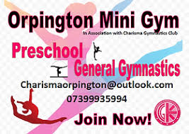 Image result for Charisma Gymnastics Club