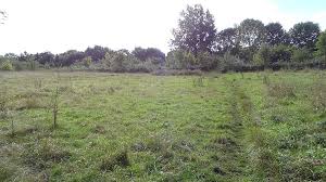 Image result for Roding Valley Cricket Club