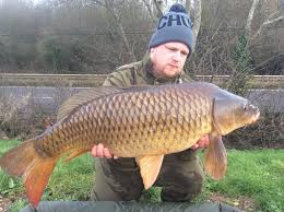 Image result for DRAYTON ANGLING CLUB