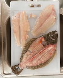 Image result for Paralichthys lethostigma