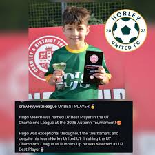 Image result for Horley Athletico Fc