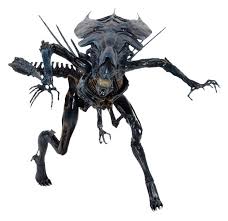 Image result for xenomorph