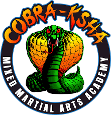 Image result for Cobra Karate Club