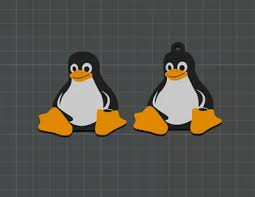 Image result for linux penguin