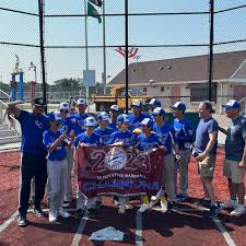 Image result for Elmbridge Girls` Little League