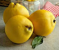 Attēlu rezultāti vaicājumam “Cydonia oblonga fruit”