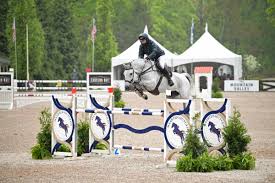 Image result for Beechwood Riding School