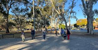 Image result for City of Llandaff Pétanque Club