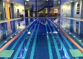 Image result for Chesterfield Swimming Club