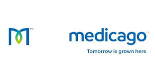 Attēlu rezultāti vaicājumam “Medicago”