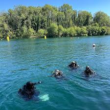 Image result for Kingston and Elmbridge Snorkellers