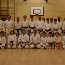 Image result for Haslemere Karate Club