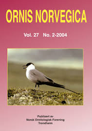 Attēlu rezultāti vaicājumam “Hippolais caligata adult”