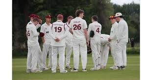 Image result for Bashley (Rydal) Cricket Club