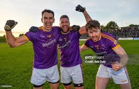 Image result for Wolfe Tones Gaelic Athletic Club