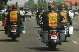 Image result for Bay Dragons CC