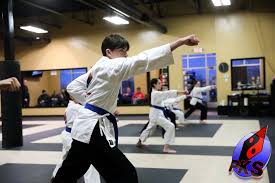 Image result for COURT FIELDS karate Academy