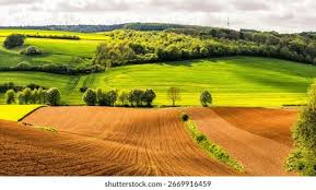 Image result for Imagini tehron