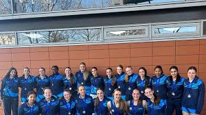 Image result for Raychem Netball Club