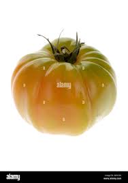 Afbeeldingsresultaat voor marmande jaune tomato