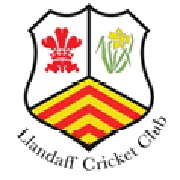 Image result for Dinas Powys Cricket Club