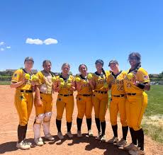 Image result for Cheetahs Softball Team