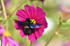 Image result for Schmuckkörbchen