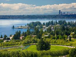 Image result for Bellevue