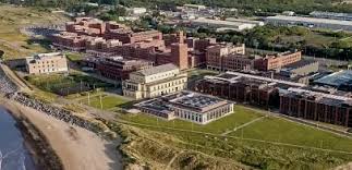 Image result for Swansea Bay Hockey Club