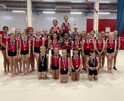 Image result for Wolverhampton Gymnastics Club