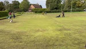 Image result for Delphi Bowls Club