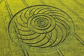 Image result for crop circles