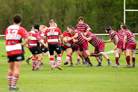 Image result for Newport (Salop) Rugby Union Football Club