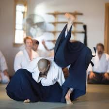Image result for Harold Hill Aikido Club