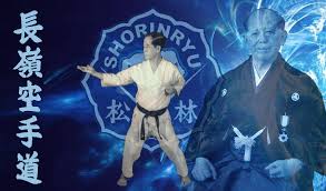Image result for Ronin Yudansha Ryu