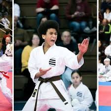 Image result for Devonport Shotokan Karate Club