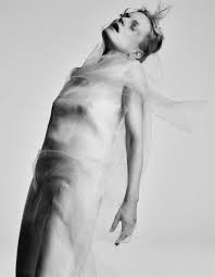 Image result for Guinevere van Seenus