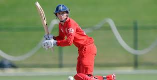 Image result for Knowle Cricket Club