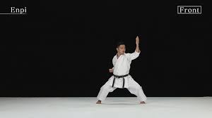 Image result for Reading Karate-Do Shotokai