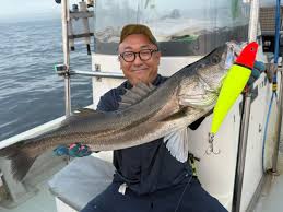 Image result for 全員28号CP