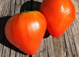 Afbeeldingsresultaat voor CDB tomato