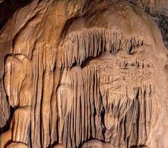 Image result for Venutios Caving Group