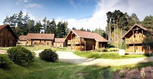 Image result for Bere Regis Skittles Club