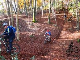 Image result for Bigfoot MTB Club