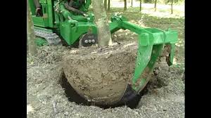 Image result for roboflail tehron