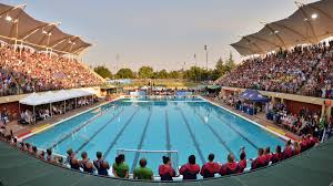 Image result for Buntingford Swimming Club