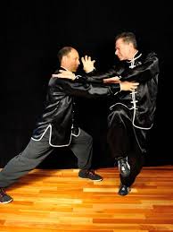 Image result for BARNET and WHETSTONE CHANGQUAN FLYING DRAGON