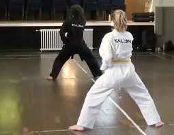 Image result for Bytomic Tae Kwon Do Guildford