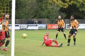 Image result for East Grinstead Town Football Club