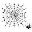 Spider Webnurmuh ammad.jpg